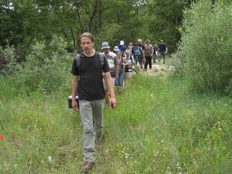 GOULT - Chemin de la Virginière