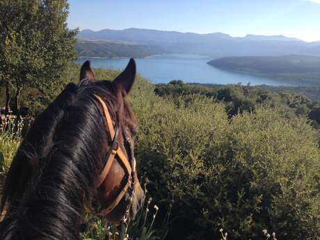 Aux sources du Verdon