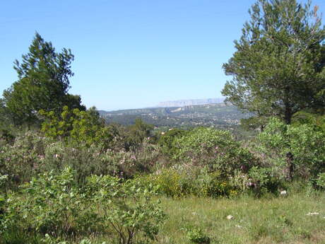 Le Mont du Marseillais - Journée