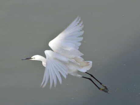 Visita guiada de Loix, entre naturaleza y campo de batalla por J&M EVASION
