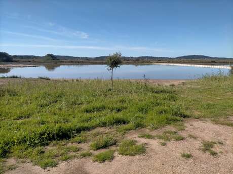 Boucle cyclable des salins des pesquiers à 'l'ayguade
