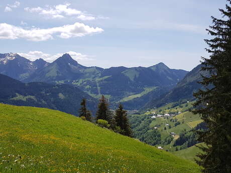 Trail circuit 45b green - Boucle du Mont from the village of Abondance