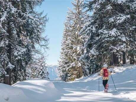 Boucle découverte du Plateau de la Ramée