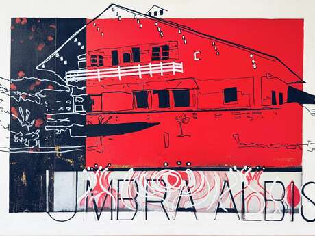 Exposition "Faire montagne", Adrianna Muffat Jeandet - Musée de l'Ermitage
