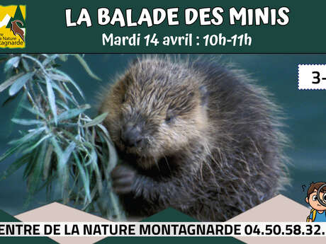 La Balade des Minis : le mini castor
