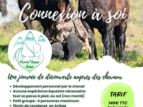Connexion à soi, une journée pour soi auprès des chevaux