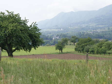 Le marais de Pré Lombard