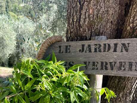 Le Cirier d'Auribeau et les Terres de Saint-Sauveur: Ein Vormittag im Herzen einer außergewöhnlichen Gegend mit Mittagessen