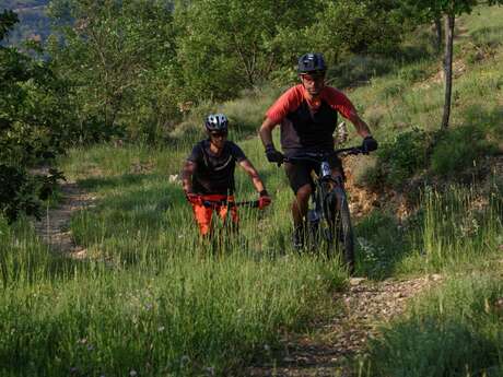 Site VTT FFC - Provence Verdon - Circuit 19 - Rouge