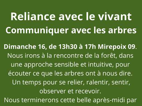 Reliance avec le Vivant - Communiquer avec les arbres