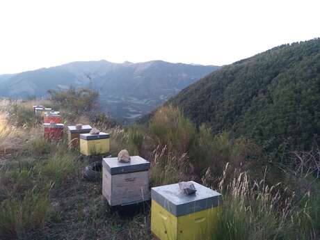 Miellerie Des abeilles et des fleurs