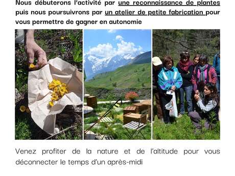 Après-midi botanique au Refuge du Pic du Mas de La Grave