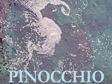 Théâtre : "Pinocchio ou la symphonie des fées fêlées"