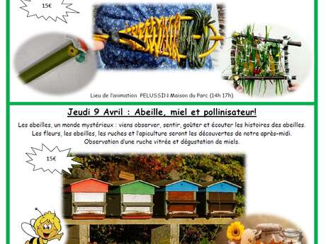 Sortie enfant et nature "Abeille, miel et pollinisateur"