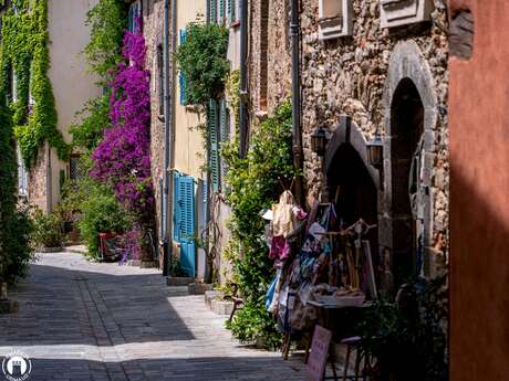 La balade des bougainvilliers