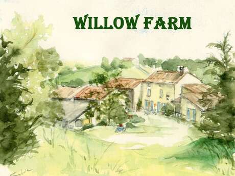 Les iris - Willow Farm