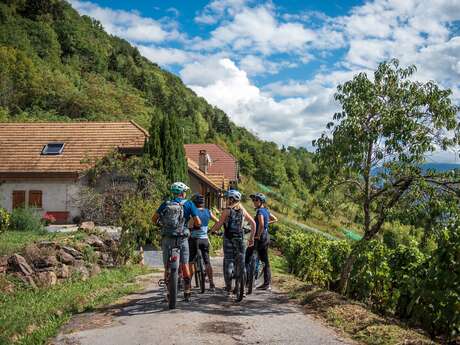 Echappée gourmande à vélo