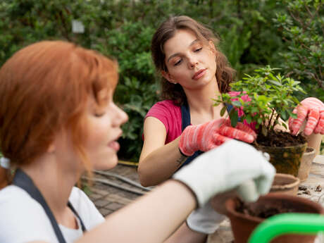 Atelier jardin : de la graine à la bouture