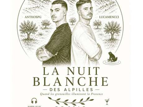 La Nuit Blanche des Alpilles