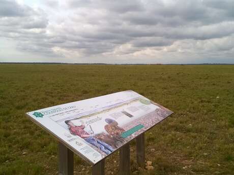 Sentier Peau de Meau, au coeur de la Réserve naturelle nationale des Coussouls de Crau