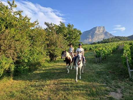Randonnée à la journée, vignes & contreforts de Chartreuse en duo
