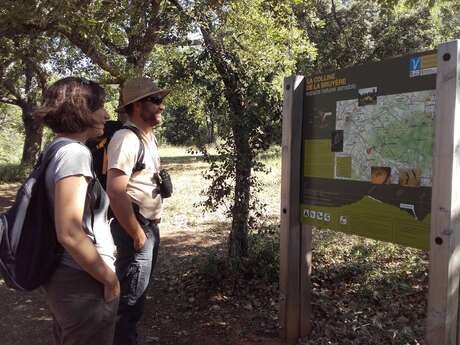 VILLARS - Colline de La Bruyère