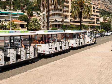 Le Petit Train Touristique al Salon du Tourisme