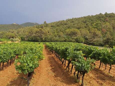 Wohnung - 33 m² - 2 pers