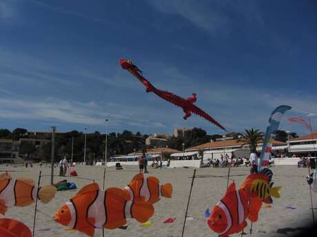 Kite Festival
