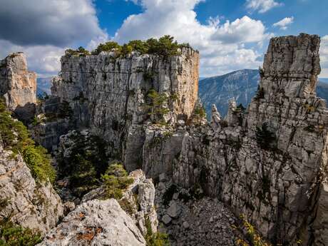 Cadières de Brandis