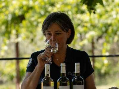 Accord vin et fruit confit