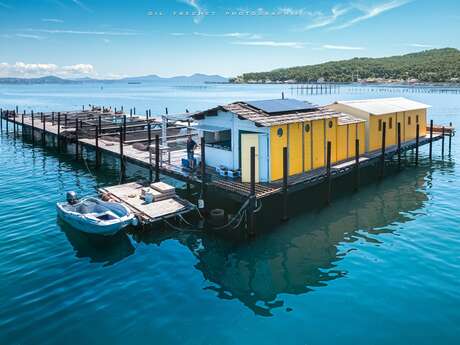 Les Loups d'Or - Baie du Lazaret