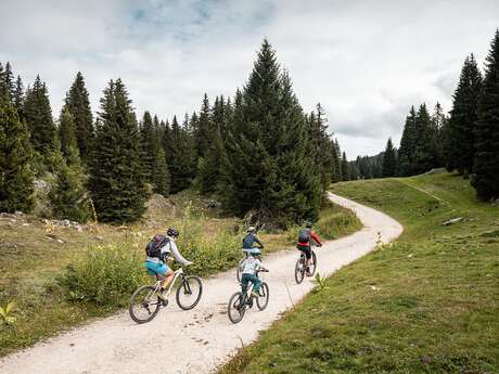 Piste VTT FFC verte 1 - La Féclaz