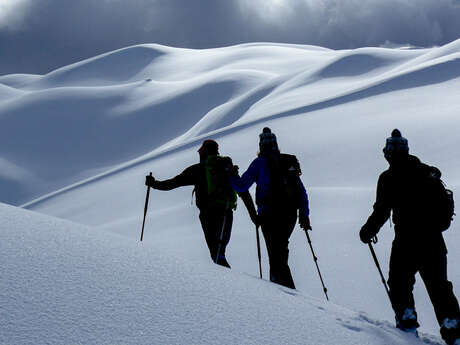 Snowshoeing tours