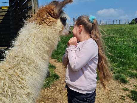 little zookeeper workshop
