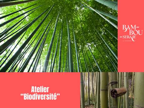 Atelier biodiversité