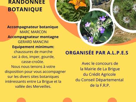 Botanical hikes, Association A.L.P.E.S.