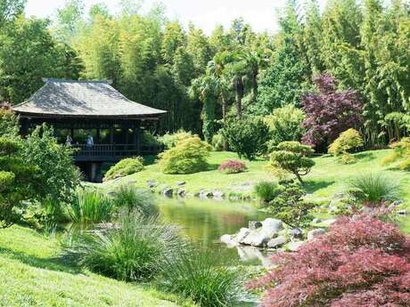 Conférence - Le règne insoupçonné des plantes