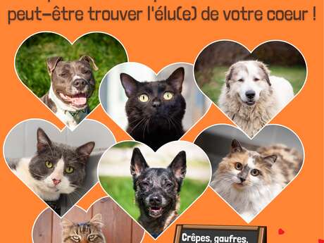 APAGI : La Saint Valentin au refuge !