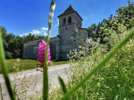 Visite de l’Eglise de Saux et découverte de ses peintures murales