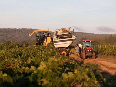 visite de la Passion - vendanges et BASTIDE