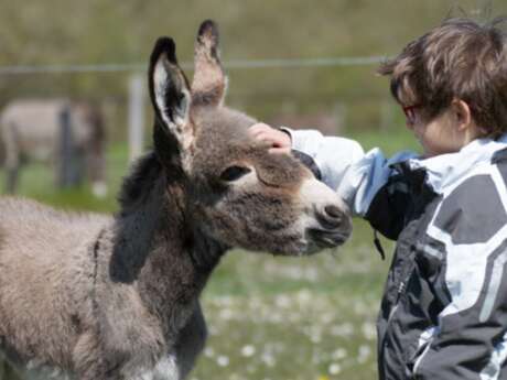 La ferme pédagogique