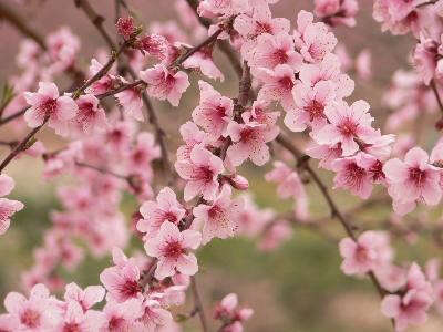 Alpilles - Roquemartine (boucle complète)