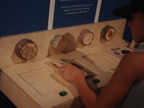 C'est l'été à Salagon : Atelier Dans la forêt lointaine...