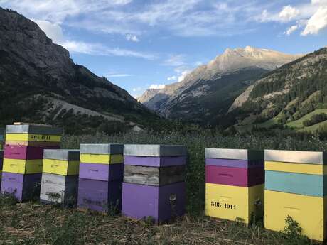 Didier Choque, apiculteur