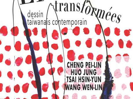 Lignes transformées