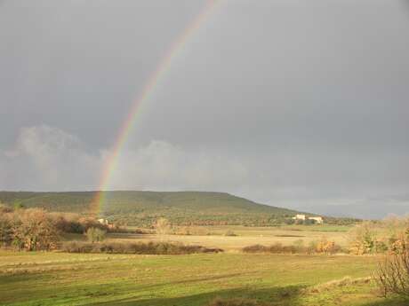 L’entomofaune de la Verdière