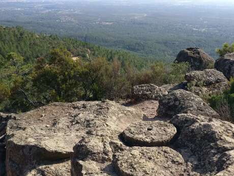 Les Tailleries de Meules