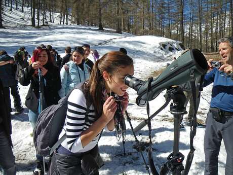 Le Mercantour en hiver : à la découverte d’une nature fragile