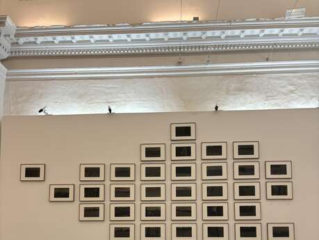 Petit dej' rencontre